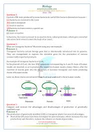 A polypeptide of five amino acids is synthesized during protein synthesis in eukaryotic cells. Ncert Solutions For Class 12 Biology Chapter 12 In Pdf For 2020 21