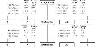 Flow Chart For Blood Typing Using The 10 Component 2 Step