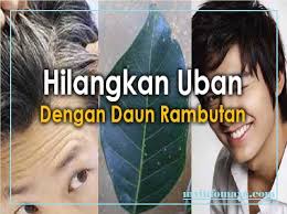 Check spelling or type a new query. Daun Rambutan Rahsia Hilangkan Uban My Info Maya