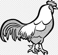 Siapa yang pernah melihat ayam? Ayam Cochin Ayam Wyandotte Ayam Dorking Ayam Buku Mewarnai Ayam Kartun Lucu Hitam Dan Putih Dari Bebek Ayam Galliformes Yang Lain Png Pngwing