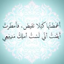 أغمضتها كي لا تفيض فأمطرت أدركـت أنـي لسـت أمـلك مدمـعـي Cool Words Wisdom Quotes Words Quotes