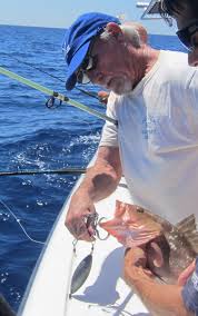 salty topics: hook, line, and sink 'em