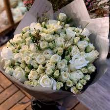 مستحلب ضائع ميكروب الورد الابيض الصغير اسمه Villaprojetos Net