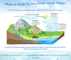 Cumulus clouds in blue sky over bawdsey and alderton, suffolk, england, uk. Infographic The Water Cycle Water Cycle Water Cycling Water