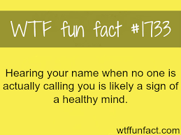 This Happens All The Time Funny Facts Fun Facts Wtf Fun Facts