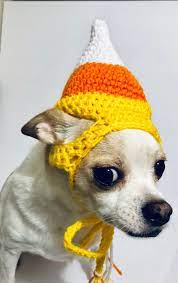 Toothsome Dog Costumes Bull Terriers Dogmom Dogcollardiy Crochet Dog Hat Crochet Dog Pet Costumes