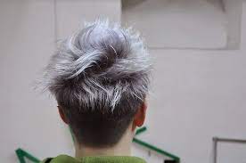 Easy coloring, easy washing, strong and no damage hair, no stickiness. Best Ash Gray Hair Dye Set With Images Ash Grey Hair Grey Hair Men Men Hair Color