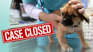 Our staff at pets r us veterinary hospitals are committed to providing the highest quality veterinary treatment and care for your pets. Veterinary Laboratory Investigation And Response Network Fda