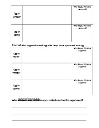 Science Inquiry Experiment Dissolving Eggshell Egg Membra Science Inquiry Science Teaching Resources Physical Science Lessons