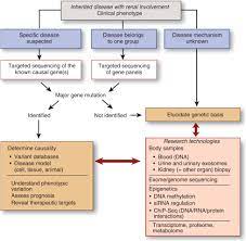 Rare Inherited Disorders With Renal Involvement Approach To The Patient Kidney International