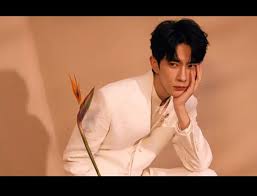 Profile change promise related to case