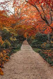 Coe hall hours the visitor center in coe hall is open the following days and times: Beautiful Gardens On Long Island Ny Find Love Travel