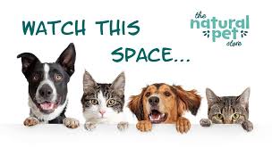 Pin by quality home improvement on artificial turf from www.pinterest.com. Naturalpetstore Hashtag On Twitter