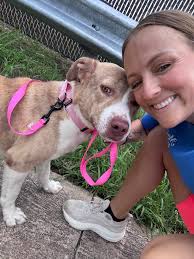 Fostering a dog and finding its forever home