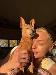 This is my precious boy, Jax! He's the love of my life 🩵🐾