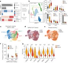 It was first identified in december 2019 in wuhan,. Global Absence And Targeting Of Protective Immune States In Severe Covid 19 Nature