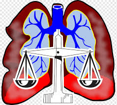 Maybe you would like to learn more about one of these? Mesothelioma Png Images Pngwing