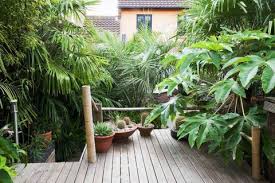 In this example, the owner. 10 Tropical Plants You Can Grow In The Uk