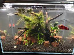 The main thing is to keep the motor and impellor assembly clean. What Substrate Do You Guys Think I Should Put Over The Fluval Stratum 4gal Low Tech Betta And Skramps Any Suggestions Are Welcome Thanks Plantedtank