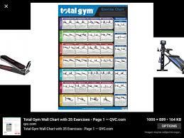 Total Gym Platinum Plus Only 150 For Sale In Redwood City