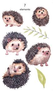 For boys and girls, kids and adults, teenagers and toddlers, preschoolers and older kids at school. Watercolor Clipart Hedgehog Clipart Watercolour Clipart Set Etsy Hedgehog Drawing Hedgehog Illustration Hedgehog Art
