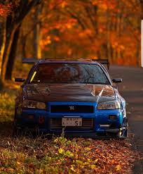 R34 in Autumn Leaves : rcarporn