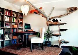 Evde Sikilan Kediler Icin Eglenceli Oyun Alanlari Avec Images Arbres A Chat Maison Maison Arbre A Chat