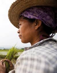 APPLICATION OF BARRACUDA® IN THE GAS PHASE POLYMERIZATION PROCESS