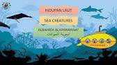 Pesan perjalanan menyelam anda bersama kami, dan kami akan menunjukkan dunia bawah laut kami yang menakjubkan! Projek Tahun Akhir Mari Mengenal 3 Jenis Haiwan Laut Dalam Bahasa Arab Dan Inggeris Youtube