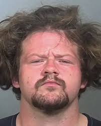 44-year-old FALLON LEWIS from Manatee County, Florida was arrested