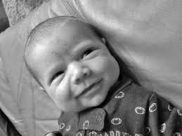 Bruce Peninsula Press