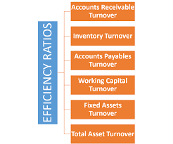 Efficiency Ratios Financial Analysis Financial Strategies Budgeting Money