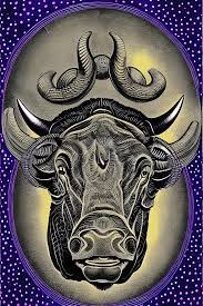 Dessin à l'encre aux couleurs vives d'une tête de taureau réaliste avec un  symbole du zodiaque Yin Yang et taureau ultra détaillé sur fond d'étoile ·  Creative Fabrica