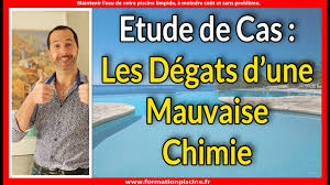 Anti Guepes Piscine Comment Les Repousser Youtube