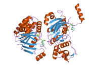 The cystic fibrosis transmembrane conductance regulator (cftr) and its stability. Cystic Fibrosis Transmembrane Conductance Regulator Wikipedia
