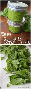 Easy Blender Basil Pesto Kitchencents Com Italian Basil Is One Of My Favorite Herbs To Use In The Kitch Basil Pesto Recipes Canned Pesto Recipe Pesto Recipe