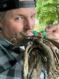 Crazy for Dahlias! Here are some of mine so far