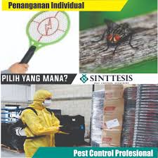 Pernah terganggu ketika lalat hinggap di minuman atau makanan anda? Cara Membasmi Lalat Sinttesis