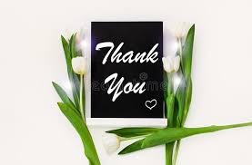 Thank you for sending the beautiful flowers. 5 519 Thank You Flowers Photos Free Royalty Free Stock Photos From Dreamstime