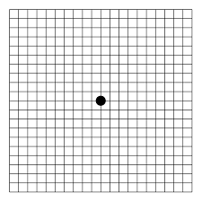 Amsler Grid Wikipedia