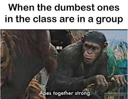 Apes Together Strong Know Your Meme