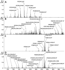 There are both positive ions and negative ions but the definitions are misleading in terms of the way they affect you. Polydopamine Capped Agnps As A Novel Matrix Overcoming The Ion Suppression Of Phosphatidylcholine For Maldi Ms Comprehensive Imaging Of Glycerophospho Analyst Rsc Publishing Doi 10 1039 C9an01361j