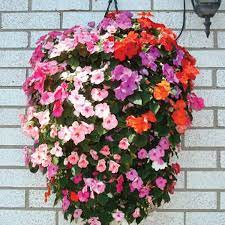 Super angebote für flower bags hier im preisvergleich. Hanging Flower Pouch Containers Urban Farmer