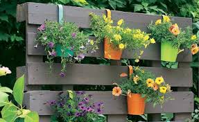 Kreativ Idee So Wird Aus Paletten Ein Bluhender Sichtschutz Paletten Ideen Garten Paletten Garten Bepflanzung