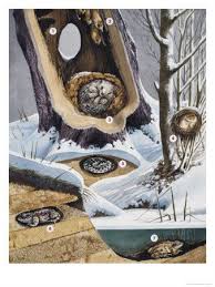 Frog Unit Study Hopping To Learn Art Hibernation Activities Hibernation Crafts