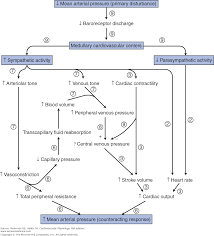 chapter 9 regulation of arterial pressure cardiovascular