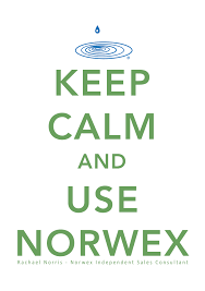 Pin By Barb Reeves On Norwex Norwex Norwex Consultant Norwex Cleaning