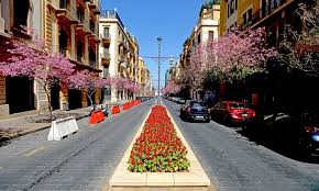 Looking to buy a car? Beirut Is Beautiful Global Times