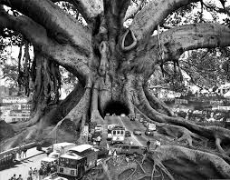 We did not find results for: Surreal Black And White Analog Photo Montages By Thomas Barbey