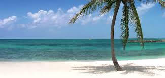 Discover secluded white sand beaches in the bahamas across the out islands from the exumas to the abacos. Bahamas Beach Bum Playlist Feenyfresh